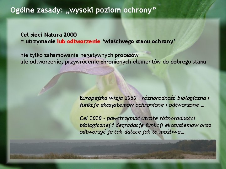 Ogólne zasady: „wysoki poziom ochrony” Cel sieci Natura 2000 = utrzymanie lub odtworzenie ‘właściwego