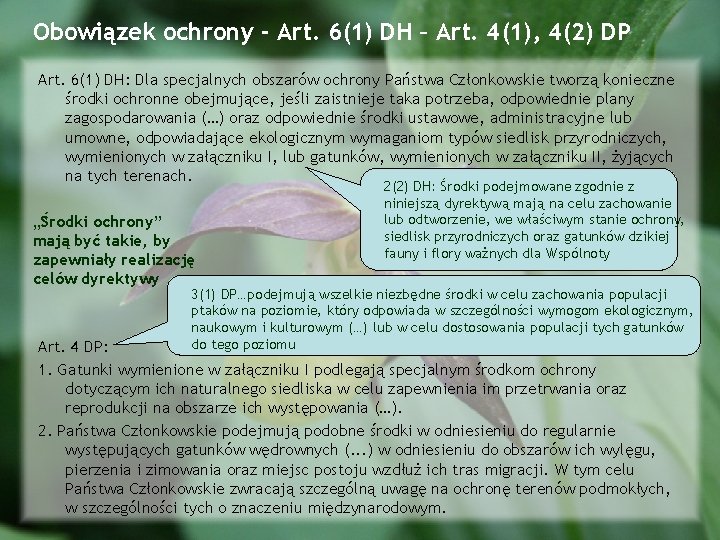 Obowiązek ochrony - Art. 6(1) DH – Art. 4(1), 4(2) DP Art. 6(1) DH: