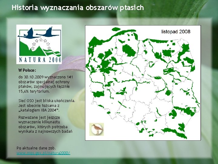 Historia wyznaczania obszarów ptasich W Polsce: do 30. 10. 2009 wyznaczono 141 obszarów specjalnej