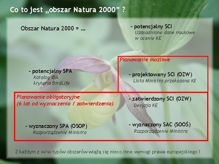 Co to jest „obszar Natura 2000” ? Obszar Natura 2000 = … - potencjalny