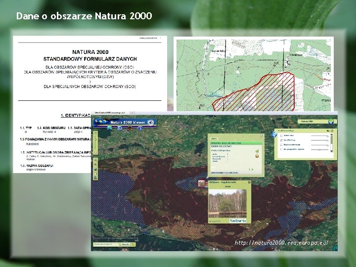 Dane o obszarze Natura 2000 http: //natura 2000. eea. europa. eu/ 