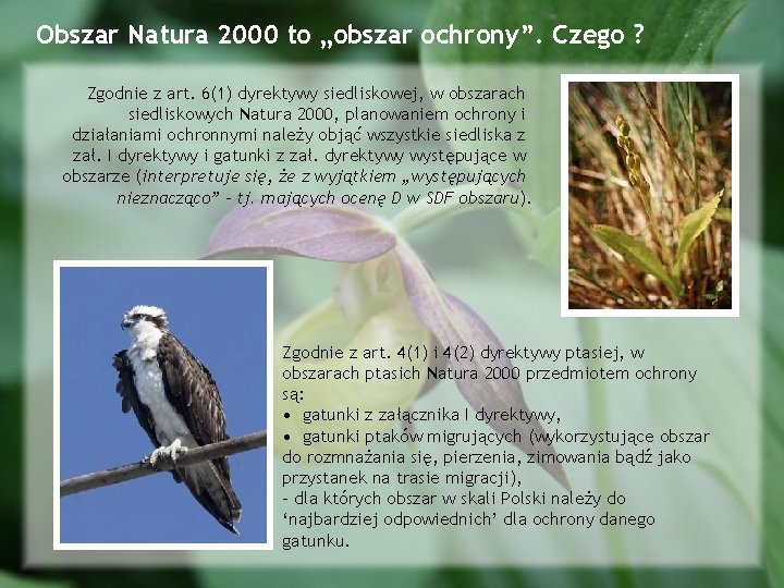 Obszar Natura 2000 to „obszar ochrony”. Czego ? Zgodnie z art. 6(1) dyrektywy siedliskowej,
