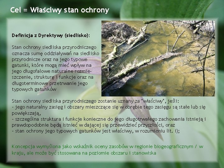 Cel = Właściwy stan ochrony Definicja z Dyrektywy (siedlisko): Stan ochrony siedliska przyrodniczego oznacza