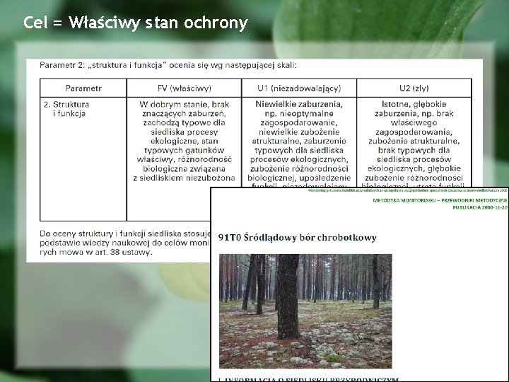 Cel = Właściwy stan ochrony 