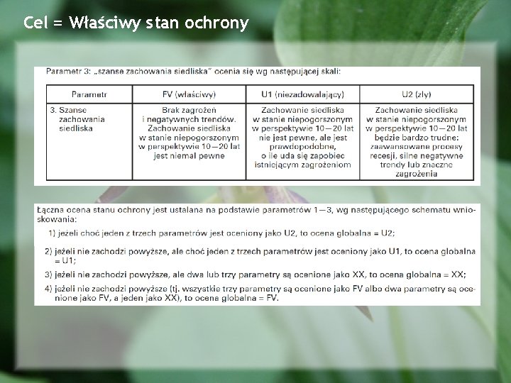 Cel = Właściwy stan ochrony 