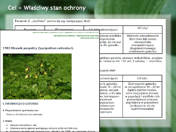 Cel = Właściwy stan ochrony 