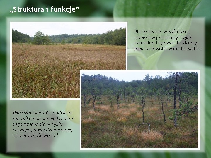 „Struktura i funkcje” Dla torfowisk wskaźnikiem „właściwej struktury” będą naturalne i typowe dla danego