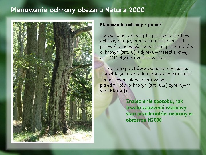 Planowanie ochrony obszaru Natura 2000 Planowanie ochrony – po co? = wykonanie „obowiązku przyjęcia