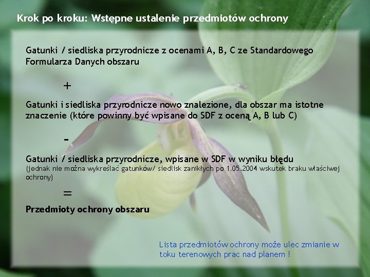 Krok po kroku: Wstępne ustalenie przedmiotów ochrony Gatunki / siedliska przyrodnicze z ocenami A,