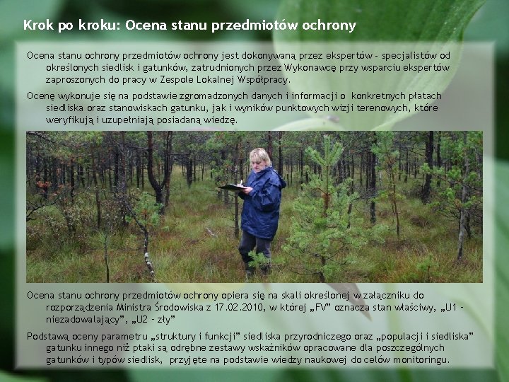 Krok po kroku: Ocena stanu przedmiotów ochrony Ocena stanu ochrony przedmiotów ochrony jest dokonywaną