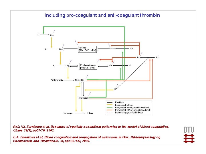 Including pro-coagulant and anti-coagulant thrombin Ref. : V. I. Zarnitsina et al, Dynamics of