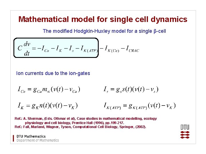 Mathematical model for single cell dynamics The modified Hodgkin-Huxley model for a single β-cell