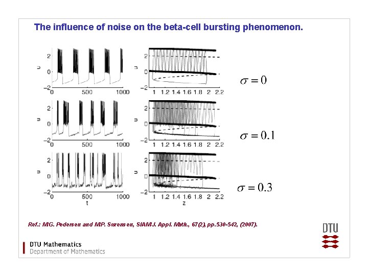 The influence of noise on the beta-cell bursting phenomenon. Ref. : M. G. Pedersen