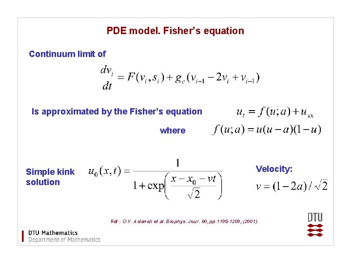 PDE model. Fisher’s equation Continuum limit of Is approximated by the Fisher’s equation where