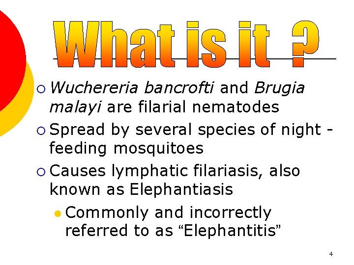 ¡ Wuchereria bancrofti and Brugia malayi are filarial nematodes ¡ Spread by several species