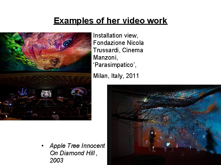 Examples of her video work • Installation view, Fondazione Nicola Trussardi, Cinema Manzoni, ‘Parasimpatico’,