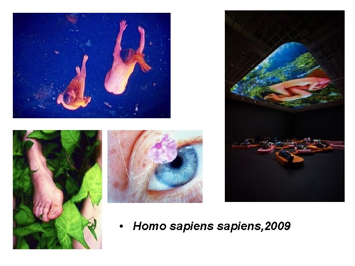  • Homo sapiens, 2009 