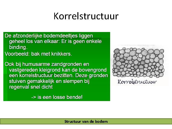 Korrelstructuur Structuur van de bodem 