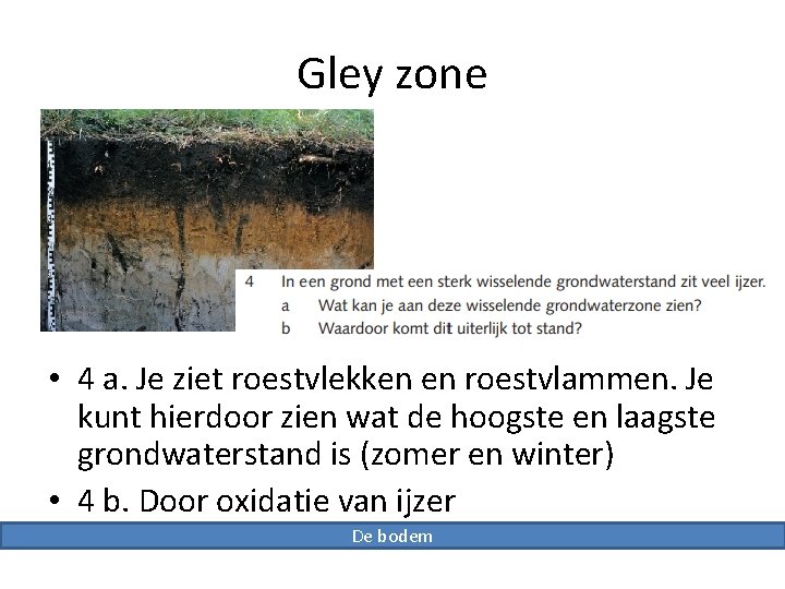 Gley zone • 4 a. Je ziet roestvlekken en roestvlammen. Je kunt hierdoor zien