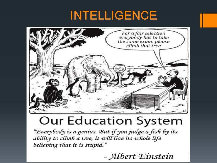 INTELLIGENCE INTELLIGENCE