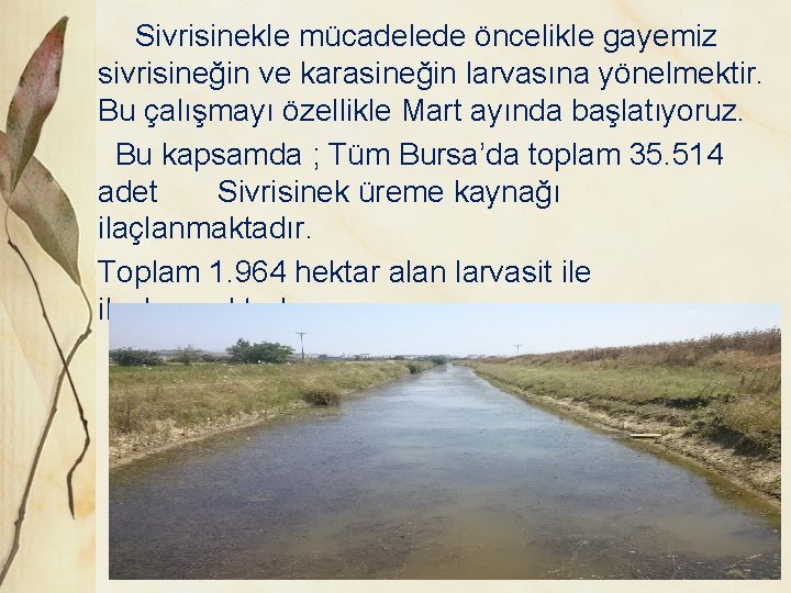 Sivrisinekle mücadelede öncelikle gayemiz sivrisineğin ve karasineğin larvasına yönelmektir. Bu çalışmayı özellikle Mart ayında