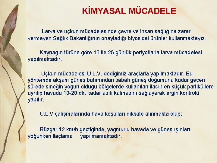 KİMYASAL MÜCADELE Larva ve uçkun mücadelesinde çevre ve insan sağlığına zarar vermeyen Sağlık Bakanlığının