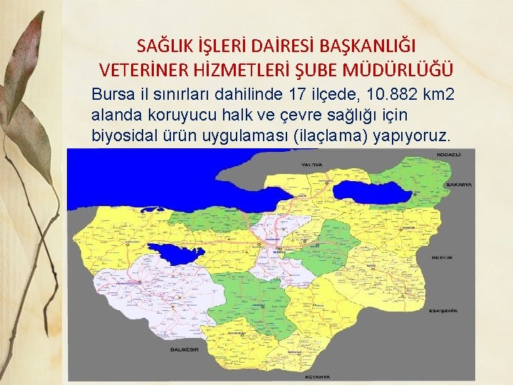 SAĞLIK İŞLERİ DAİRESİ BAŞKANLIĞI VETERİNER HİZMETLERİ ŞUBE MÜDÜRLÜĞÜ Bursa il sınırları dahilinde 17 ilçede,