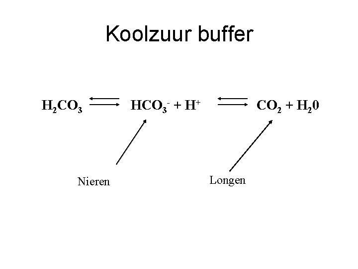 Koolzuur buffer H 2 CO 3 Nieren HCO 3 - + H+ CO 2