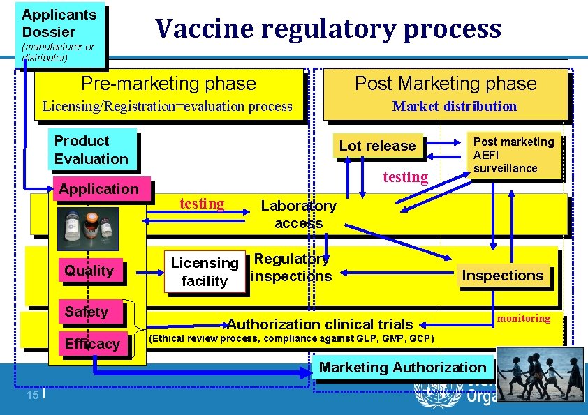 Applicants Dossier (manufacturer or distributor) Vaccine regulatory process Pre-marketing phase Post Marketing phase Market