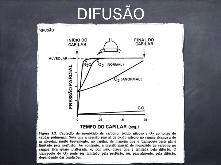 DIFUSÃO - 