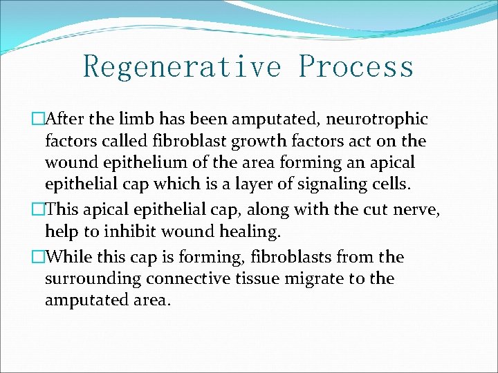 Regenerative Process �After the limb has been amputated, neurotrophic factors called fibroblast growth factors