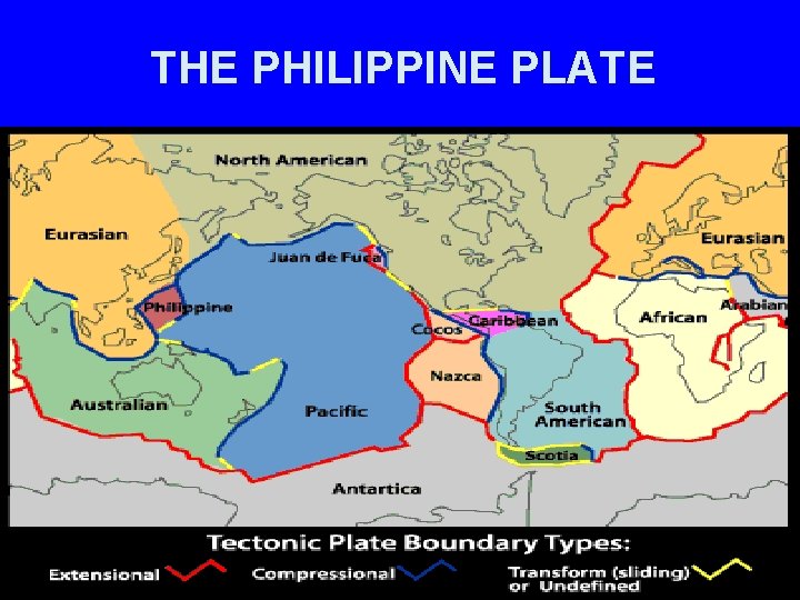 THE PHILIPPINE PLATE 