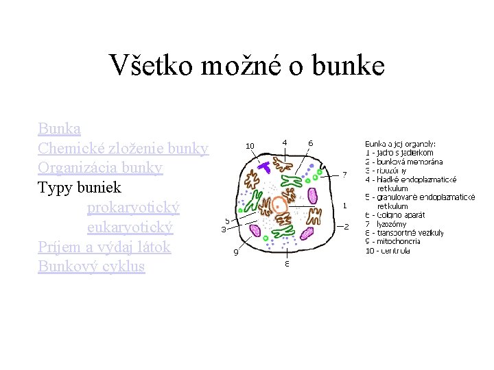 Všetko možné o bunke Bunka Chemické zloženie bunky Organizácia bunky Typy buniek prokaryotický eukaryotický