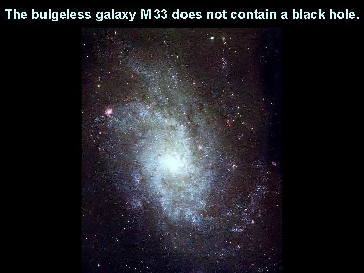 The bulgeless galaxy M 33 does not contain a black hole. 