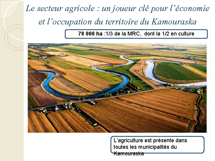 Le secteur agricole : un joueur clé pour l’économie et l’occupation du territoire du