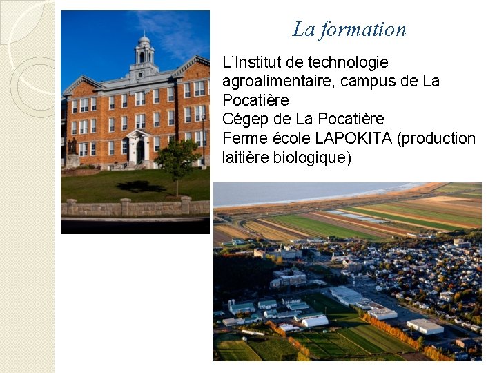 La formation L’Institut de technologie agroalimentaire, campus de La Pocatière Cégep de La Pocatière