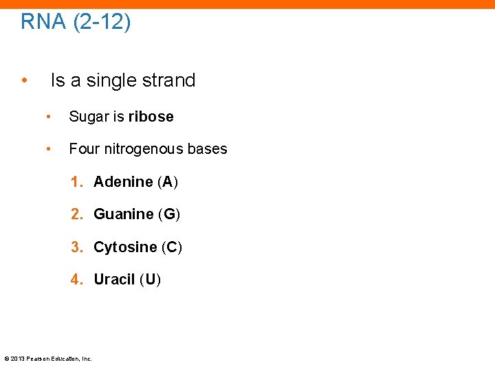 RNA (2 -12) • Is a single strand • Sugar is ribose • Four