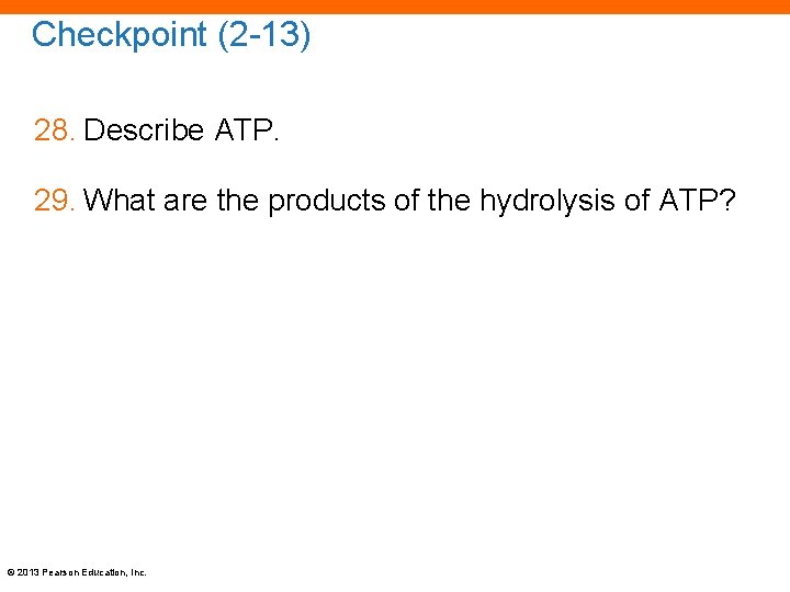 Checkpoint (2 -13) 28. Describe ATP. 29. What are the products of the hydrolysis