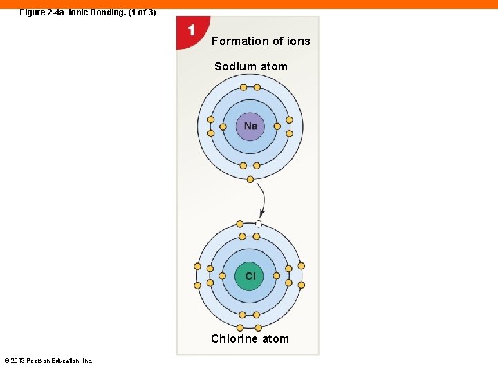 Figure 2 -4 a Ionic Bonding. (1 of 3) Formation of ions Sodium atom