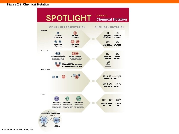 Figure 2 -7 Chemical Notation SPOTLIGHT VISUAL REPRESENTATION FIGURE 2 -7 Chemical Notation CHEMICAL