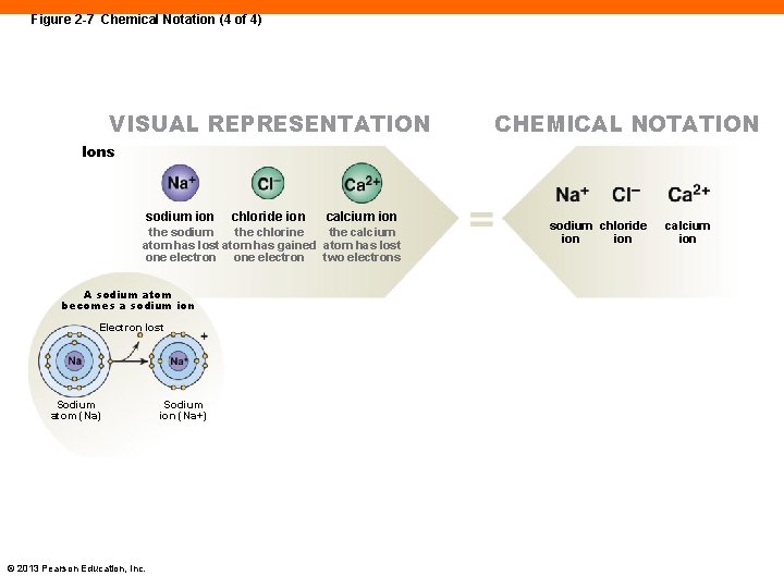 Figure 2 -7 Chemical Notation (4 of 4) VISUAL REPRESENTATION CHEMICAL NOTATION Ions sodium