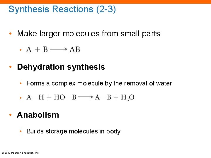 Synthesis Reactions (2 -3) • Make larger molecules from small parts • • Dehydration