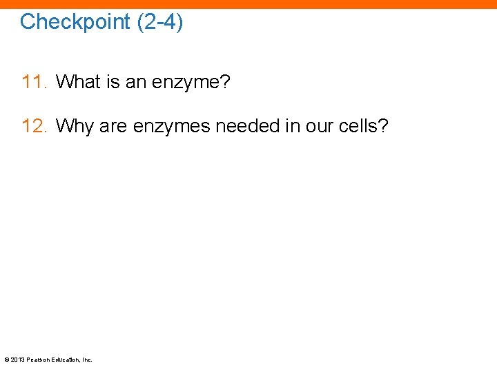 Checkpoint (2 -4) 11. What is an enzyme? 12. Why are enzymes needed in