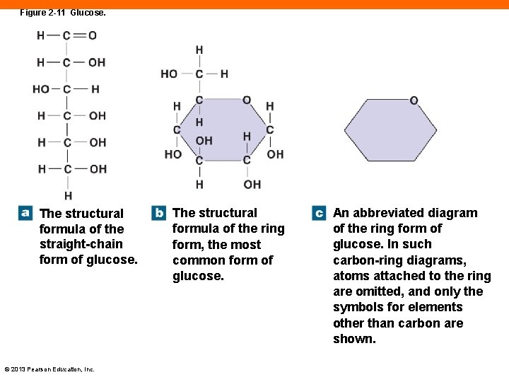 Figure 2 -11 Glucose. The structural formula of the straight-chain form of glucose. ©