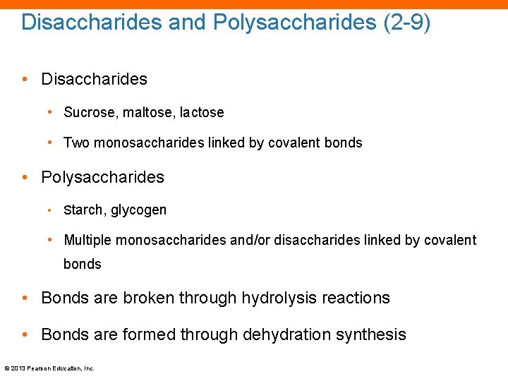 Disaccharides and Polysaccharides (2 -9) • Disaccharides • Sucrose, maltose, lactose • Two monosaccharides