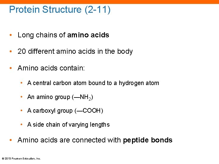 Protein Structure (2 -11) • Long chains of amino acids • 20 different amino