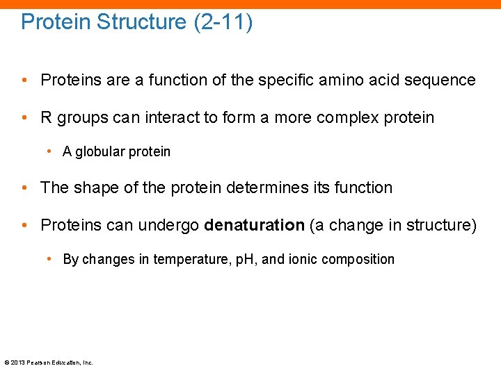 Protein Structure (2 -11) • Proteins are a function of the specific amino acid