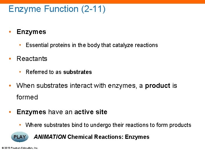 Enzyme Function (2 -11) • Enzymes • Essential proteins in the body that catalyze