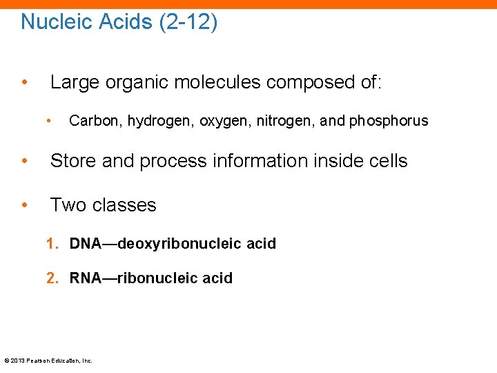 Nucleic Acids (2 -12) • Large organic molecules composed of: • Carbon, hydrogen, oxygen,