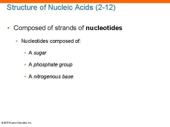 Structure of Nucleic Acids (2 -12) • Composed of strands of nucleotides • Nucleotides